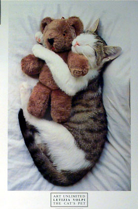 chat