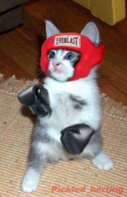 chat