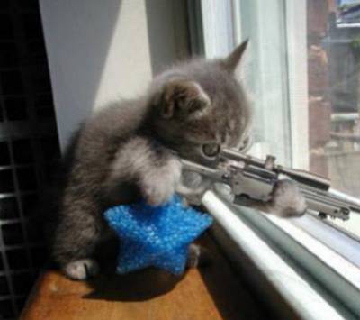 les animaux