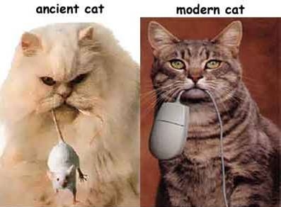 chat