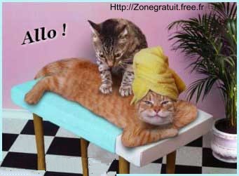 chat