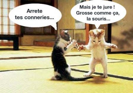 chat